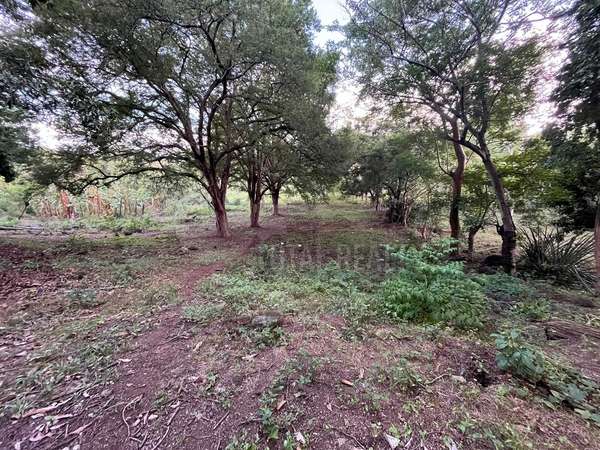 Lot for sale in Carretera Masaya
