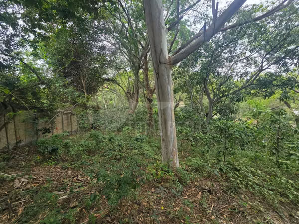 Lot for sale in El Rodeo, Santo Domingo