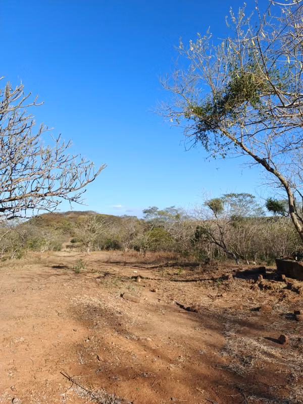 Sale of Finca in Nagarote