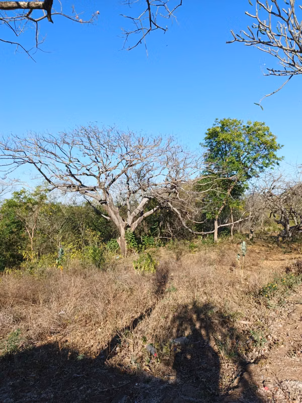 Sale of Finca in Nagarote
