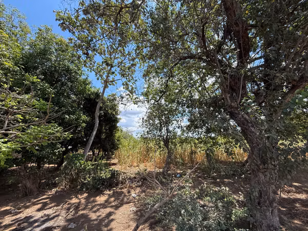 Agricultural Finca in Cañera Production - 124; 6.7 Mz with Propio well in El Viejo, Chinandega