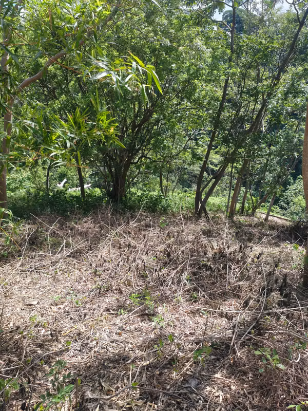 DG - Vendo Terreno en Balcones de Santo Domingo Zona Exclusiva