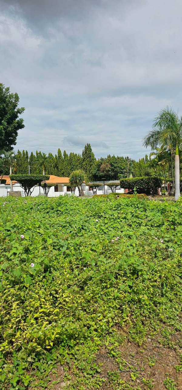  ¡Gran oportunidad de inversión lote en Km 16 C Masaya!