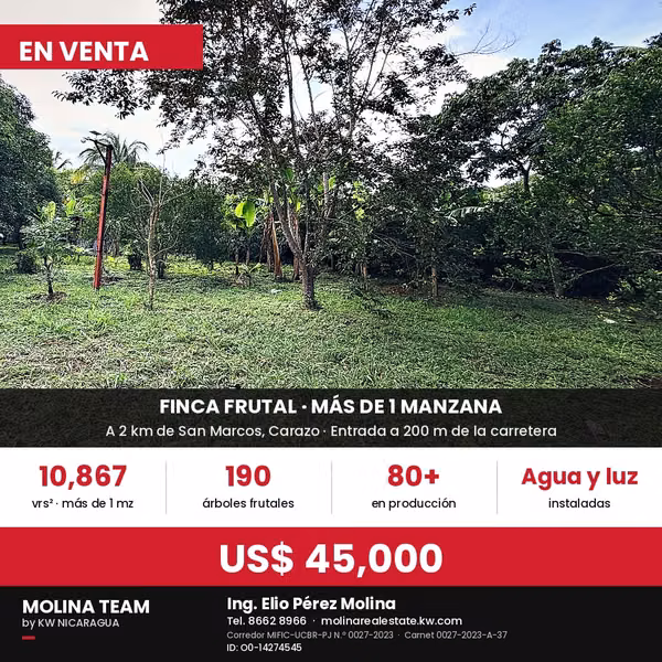 VENDO FINCA FRUTAL DE MÁS DE 1 MANZANA | A 2 KM DE SAN MARCOS, CARAZO