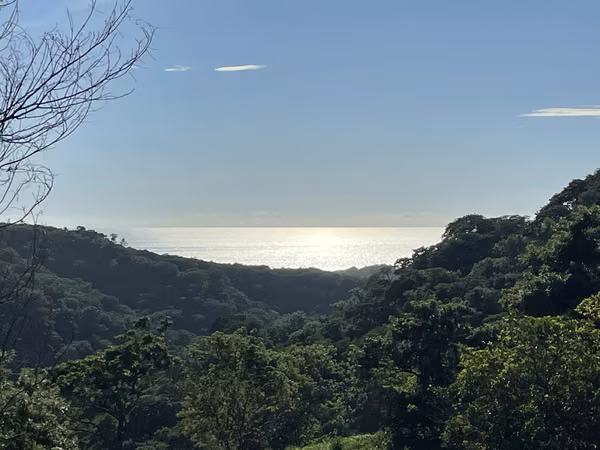 El Silencio | Eco-Living, Spacious Tropical Lots with Ocean Views