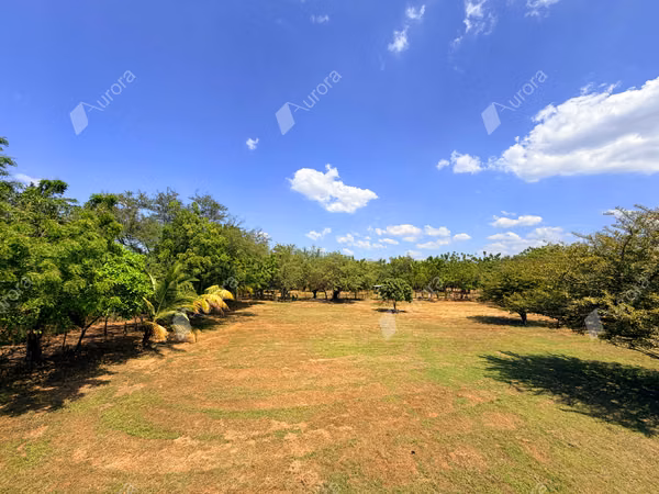 Coastal Farm with Strong Development Potential in Jiquilillo, 6 Manzanas Steps from the Beach