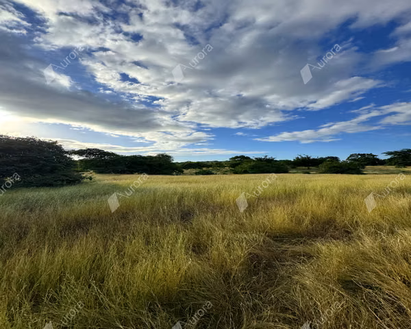 Playa Hermosa Prime Land, Strategic Farm with Water & Highway Frontage