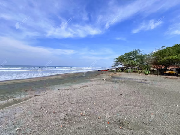 Ocean Breeze Beachfront Lot