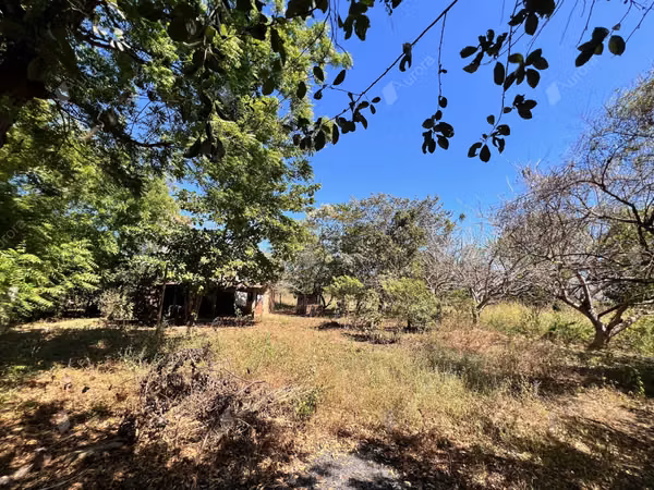 Tranquil Farm Retreat on the Road to Leon & Beaches