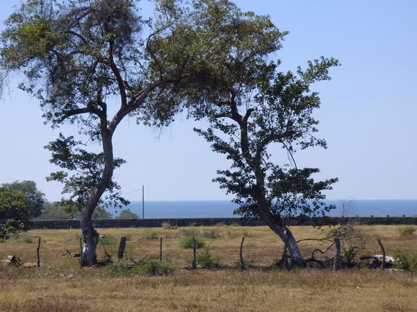 Al 2181      2.8 Acres Overlooking Nahualapa