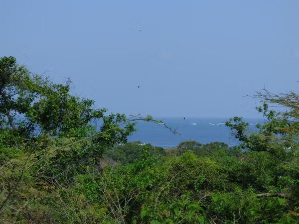 Al 2148 19 Acres with Ocean Views to Nahualapa Bay