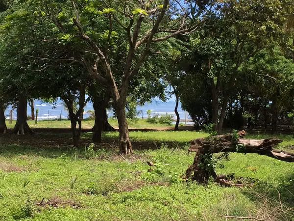 Al 2147 Lush 1.75 Acres with Ocean View