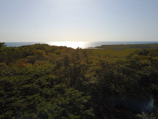 Al 2034 Land of Opportunity in Nahualapa