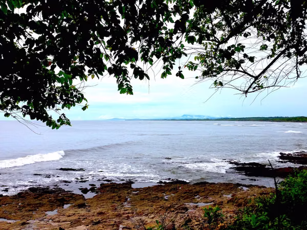 AL 951 One and a half acre beachfront lots