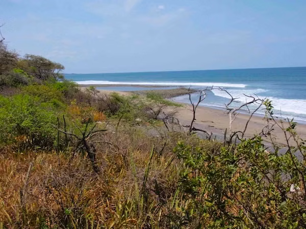 AL 492 Perfect 5.5 Acre Surf Property