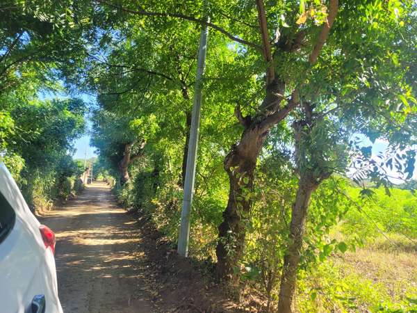 Land for Sale - KM 14 Road to Masaya