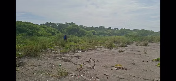 Sell Large land facing the sea
