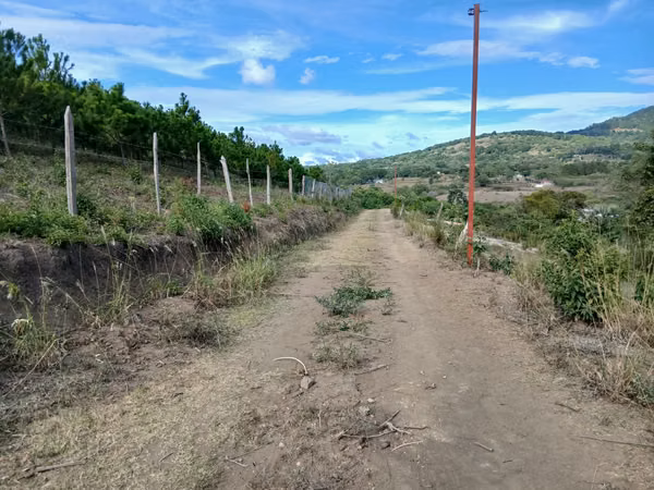 1 / 4 apple land (1,750 m ²) is sold in a fresh climate and excellent view