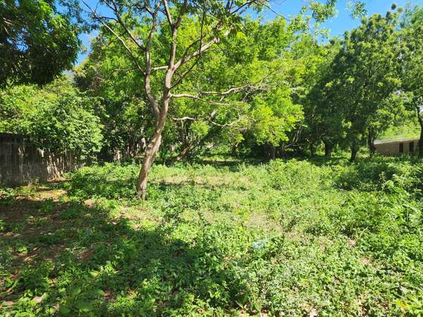 Large land is sold