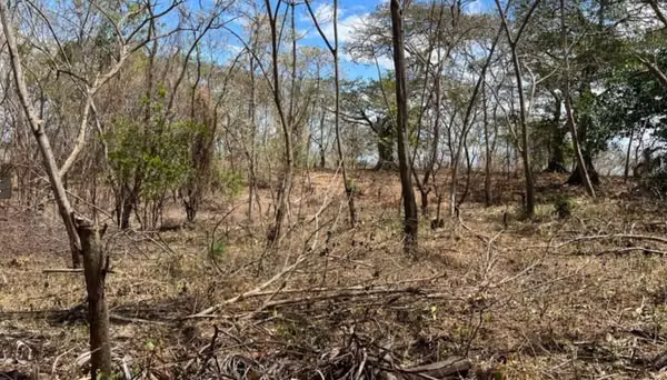 LAND FOR SALE - OLD, CHINANDEGA