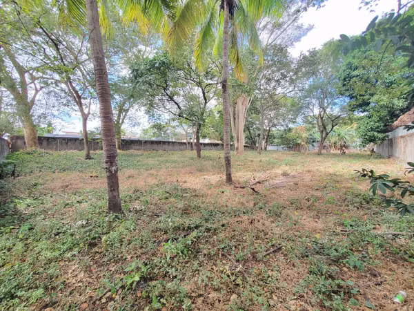 DG-Sell land Road Masaya km 15