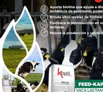 Food for Breastfeeding Cow 25 kg, Bovine Energetic and Proteic Salt