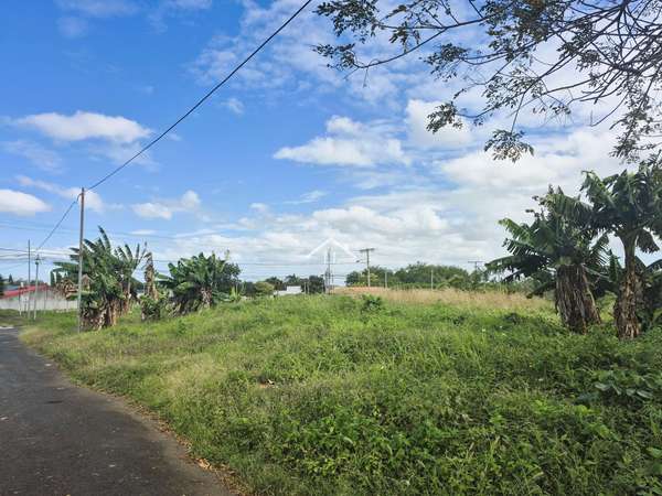 LL - The sale of land in Santa Cruz Hills