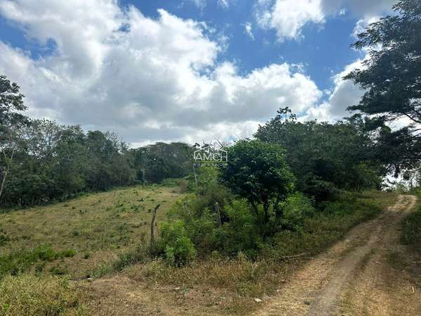 AM-Sell Land Contiguo to Acacia Condominium