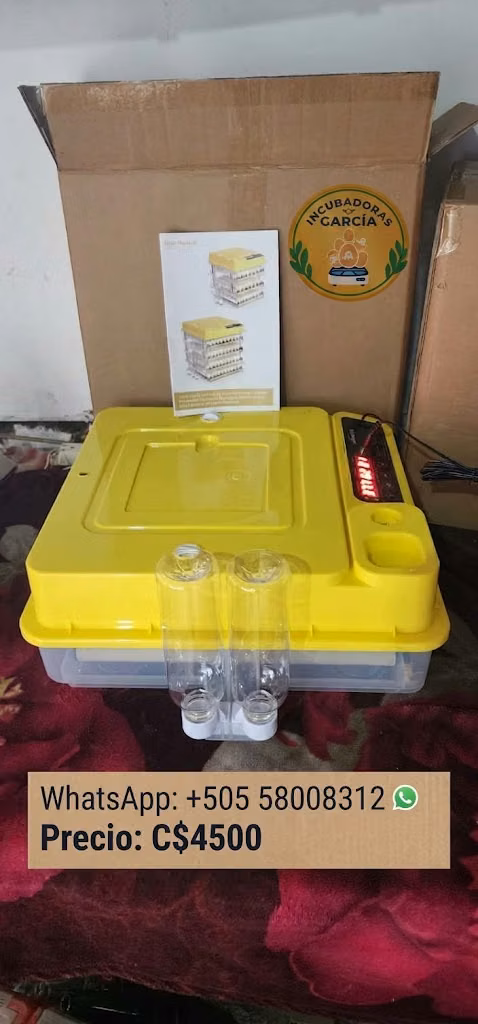 incubadoras automáticas de 24 huevos para baterías 12v