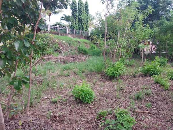 Land for Sale on Carretera Sur