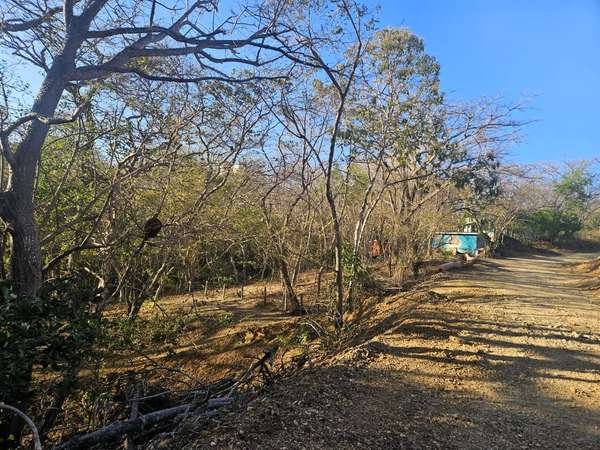 EC-Terreno en Venta Cerca de las Playas Marsella, Maderas y Majahual