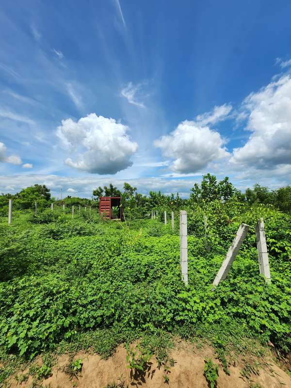 En venta terreno primera etapa residencial las Camelias km 13 carretera vieja a león 