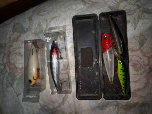 Vendo Caña y Carrete Daiwa con algunos accesorios 