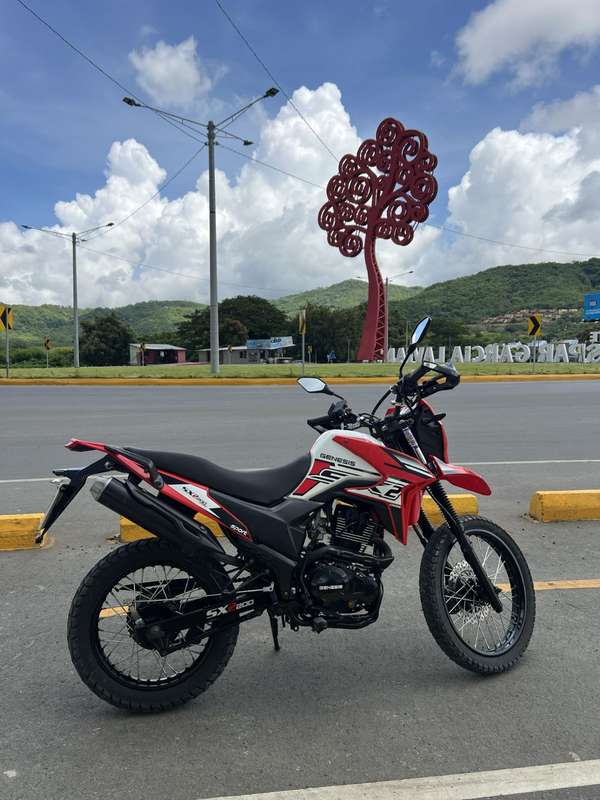 GENESIS 200 NITIDA