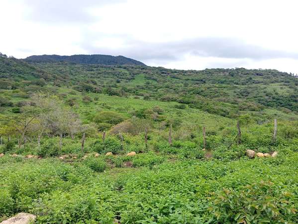 Vendo terreno amplio de 22x 18 mts en San Roque