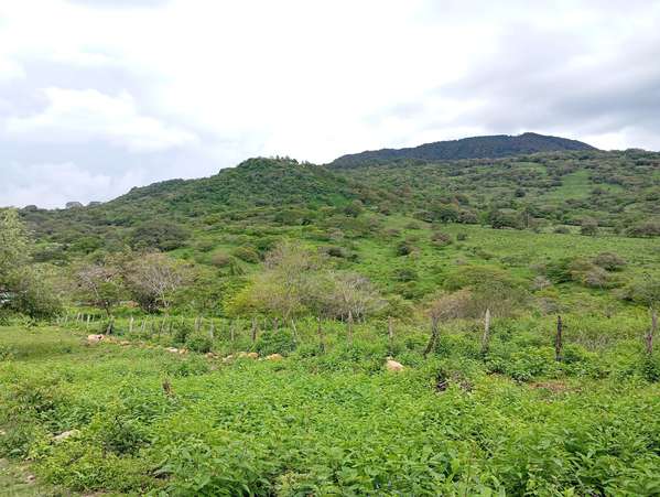 Vendo terreno amplio de 20x 15 mts  en San Roque
