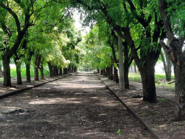 Venta de Terreno en Sabana Grande 