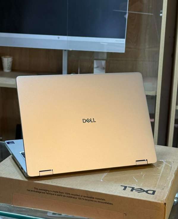 Dell Pro 14 Plus 2-en-1 (512 GB)