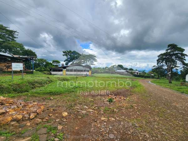 Finca en Venta , Tuma La Dalia