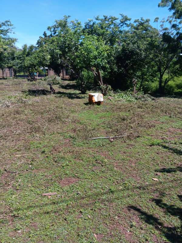 Venta de Terreno en Granada 