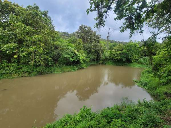 Venta de Finca en Nicaragua 