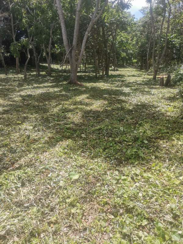 TERRENOS PARA QUINTA O CASA DE CAMPO