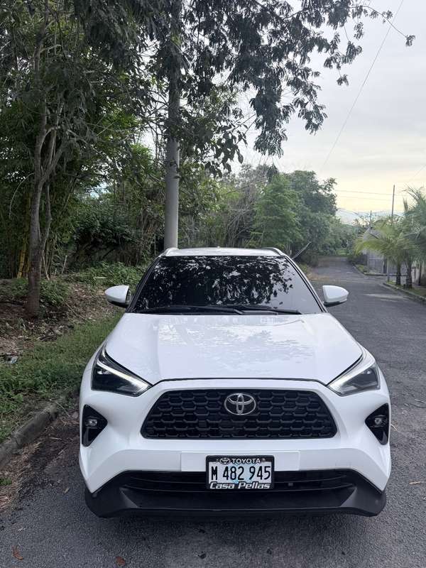 Vendo 