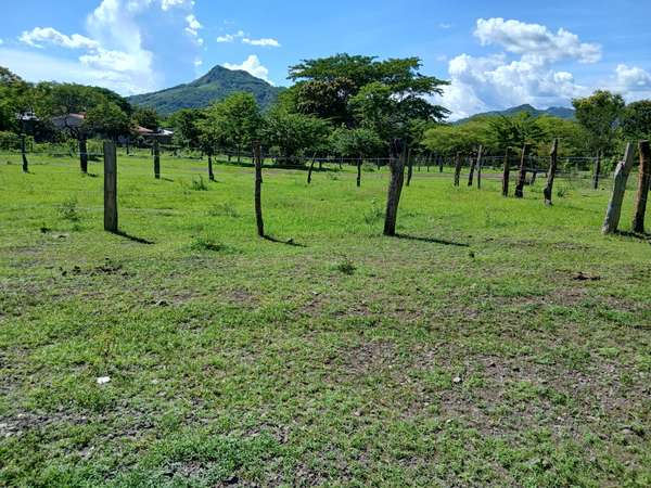 Venta de 3 lotes en uno.