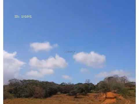 Farm in Tanara, 25 hectares