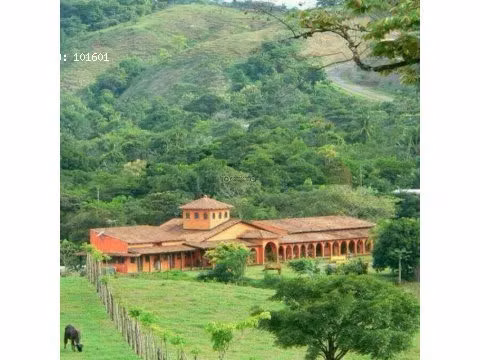 Venta Finca en Torio, Veraguas, 100 hectáreas
