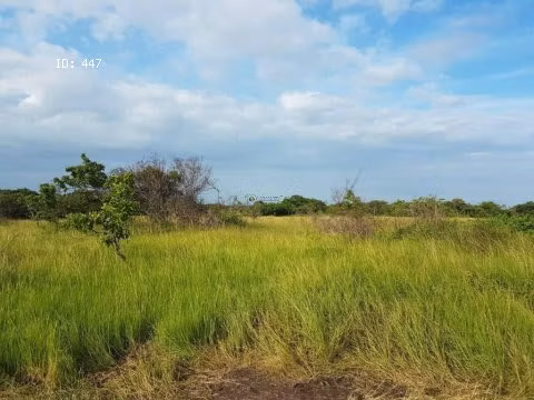 For Sale 65 hectareas, Rio Hato