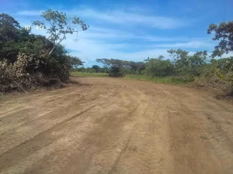 For Sale 65 hectareas, Rio Hato