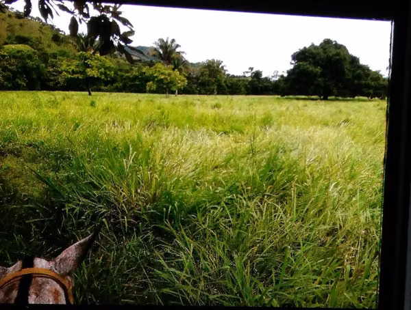 Estate in Sona, Veraguas, 46Ha