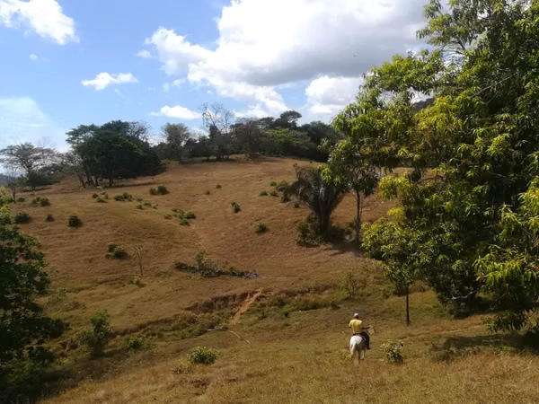 Finca en Soná, Veraguas, 260Ha